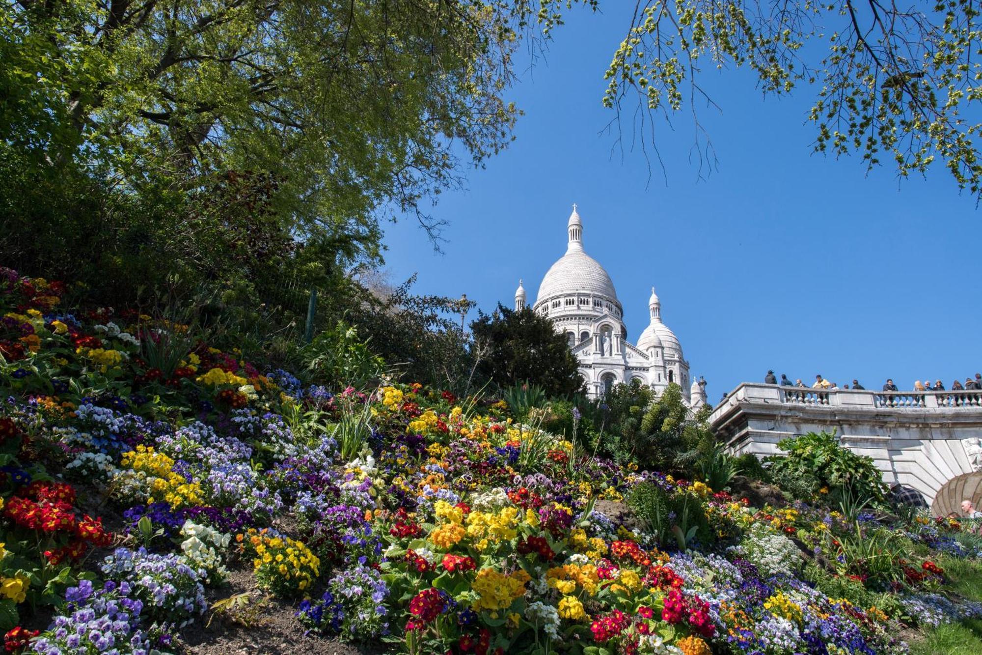شقة Paris 16 Studio Cosy Tour Eiffel Auteuil المظهر الخارجي الصورة
